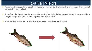 smartFish-Fish Recognition and Tracking