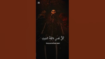 "يا عبادي الذين آمنوا إن أرضي واسعة – بصوت عبد الرحمن مسعد | سورة العنكبوت آية 56"