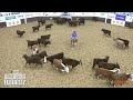 SEPT 25, NP DERBY R2 - 2026 VICTORIAN FUTURITY