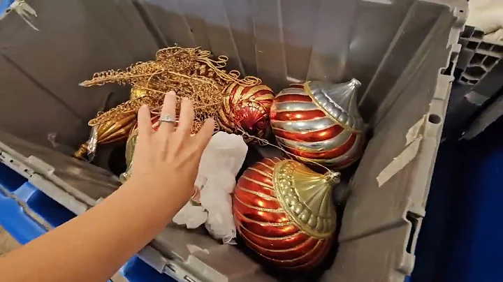 I finally found on of these at the Goodwill Outlet Bins!!!! • thrift with me