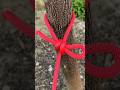 I Believe This Is The Best Knot In The World !