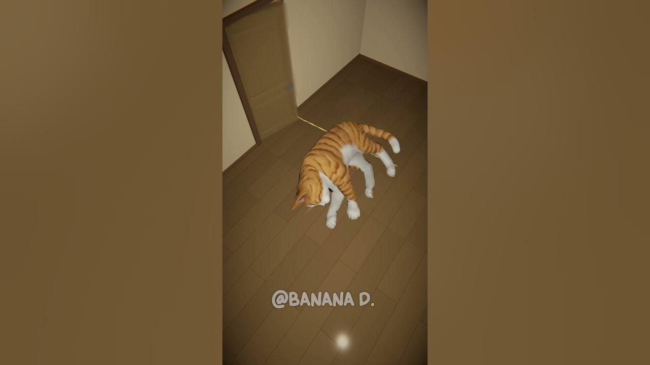 OHIO BOSS Meow Cat in Sleeping Room at 3Am OHIO BOSS Meow Cat in Sleeping Room at 3Am