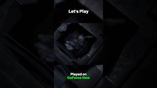 Resident Evil Requiem Lets Play!
Resident Evil Requiem Lets Play!
Captured on GeForce Now and Edited in Capcut Desktop
#residentevilrequiem #geforcenow #shorts
Resident Evil Requiem,
Resident Evil Requiem Grace,
Resident Evil Requiem GeForce Now,
GeForce Now,
GeForce Now Gameplay,
Resident Evil Requiem Steam Controller,
Steam Controller,
GeForce Now,
Steam Controller, Resident Evil Requiem Lets Play!