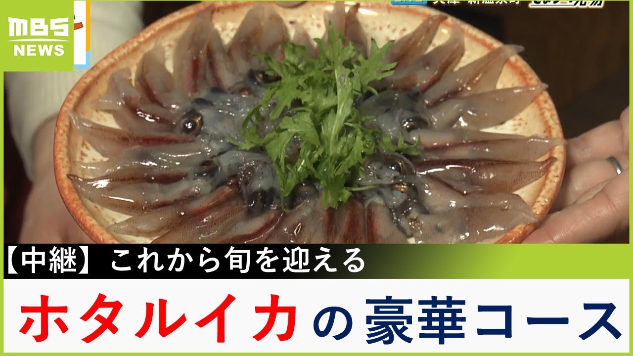 松葉かにやハタハタなど海の幸を堪能！囲炉裏のお宿でホタルイカの超贅沢コース　兵庫・新温泉町浜坂【現場から生中継】（2024年3月5日）