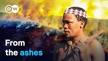 Fighting fire with indigenous knowledge | DW Documentary