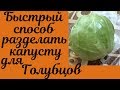 Капуста для голубцов в микроволновке. Как снять листья капусты для голубцов