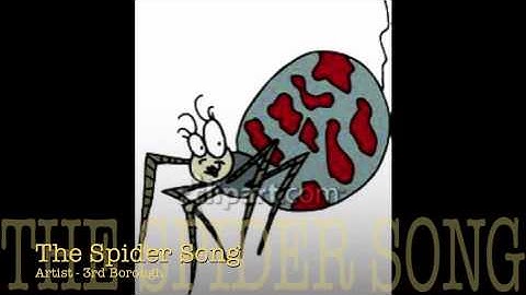 Spider Song - 3rd Borough
