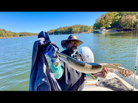 Let's Catch Big Fish! (country Style)