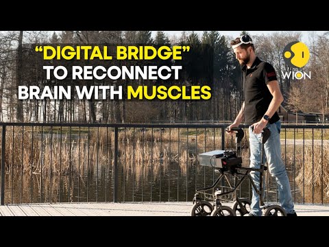 Electronic brain implants help paralysed man to walk again | WION Originals