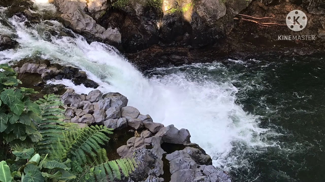Wailuku River Hilo ( My View Below our house )