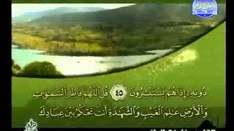 خليفة الطنيجي   سورة الزمر