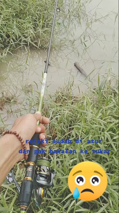 Mancing Ambyar #shorts #short