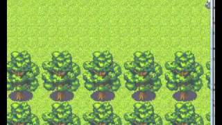 Warrior cats The New Prophecy Game video walkthrough 20-Finding Shadowclan and Thunderclan's camp Warrior cats The New Prophecy Game video walkthrough 20-Finding Shadowclan and Thunderclan's camp
