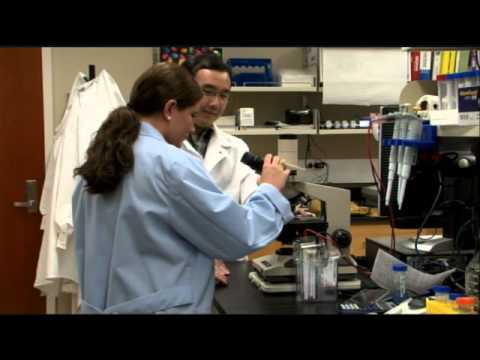 human resources jobs Nutrition - Human Sciences