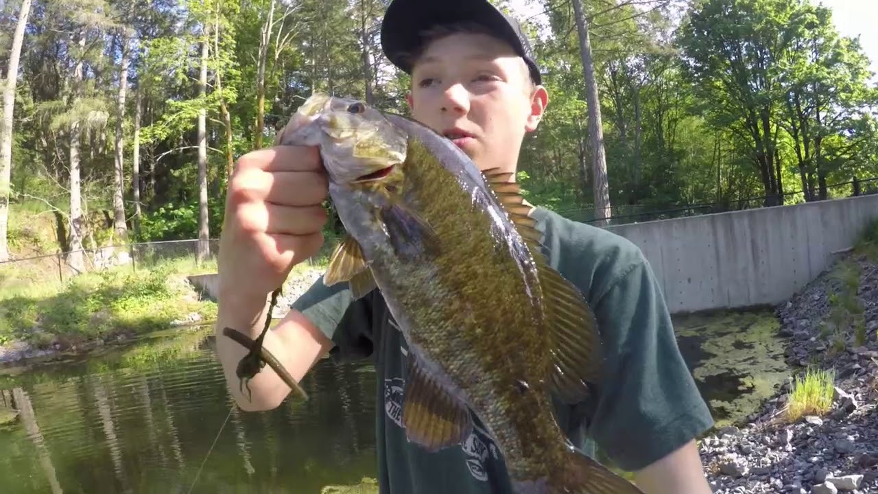 catching lots of big bass elk/beaver lake Victoria bc