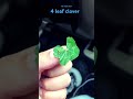3 Of My Friends Found 3 4 Leaf Clovers In Less Than An Hour 4leafclover Clover Grass 3friends mp3
