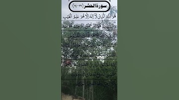 SURAH AL HASHR BEAUTIFUL VOICE 😍 سورة الحشر #egzonibrahimi #surahalhashr #alhashr #surahhashr