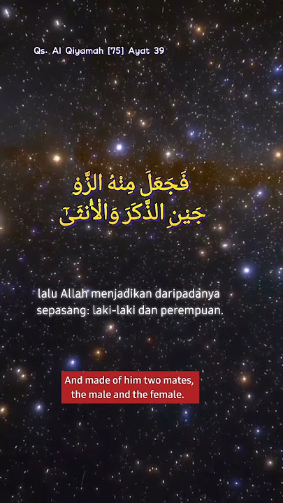 Qs. Al Qiyamah [75] Ayat 39 - 40