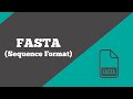 Bioinformatics FASTA What Is A Sequence Format File Format BioCode Ltd