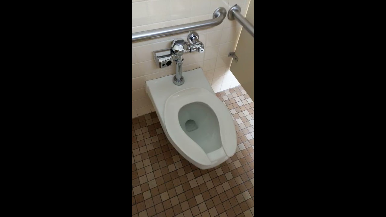 Automatic Toilet Flush HACK No More Wet Butt 