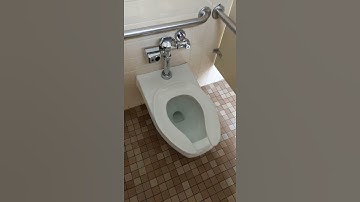 Automatic Toilet Flush HACK, No more wet butt!