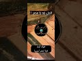 الحل قبل خراب مالطه الحل قبل خراب مالطه