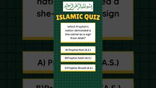 Daily Islamic Quiz Boost Your Knowledge About Islam, Quran, Hadith, And Sunnah Through Us