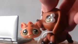 LPS MV: Worth it by Pet Harmony