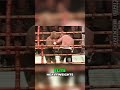 Mike Tyson Demolishes Nielsen Boxing Match Breakdown Mike Tyson Demolishes Nielsen Boxing Match Breakdown