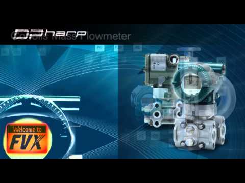 Field Mount Indicators: FVX110 Fieldbus Segment Indicator: Variable