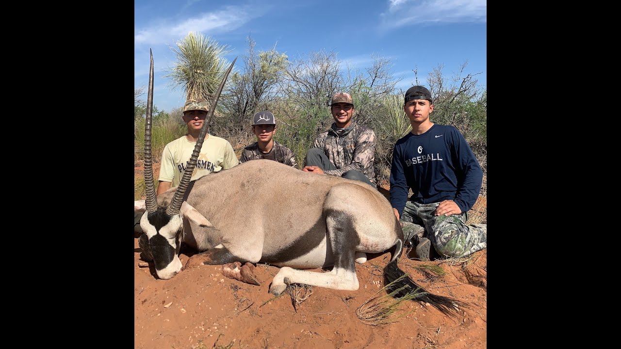 New Mexico Off Range Oryx Hunt YouTube