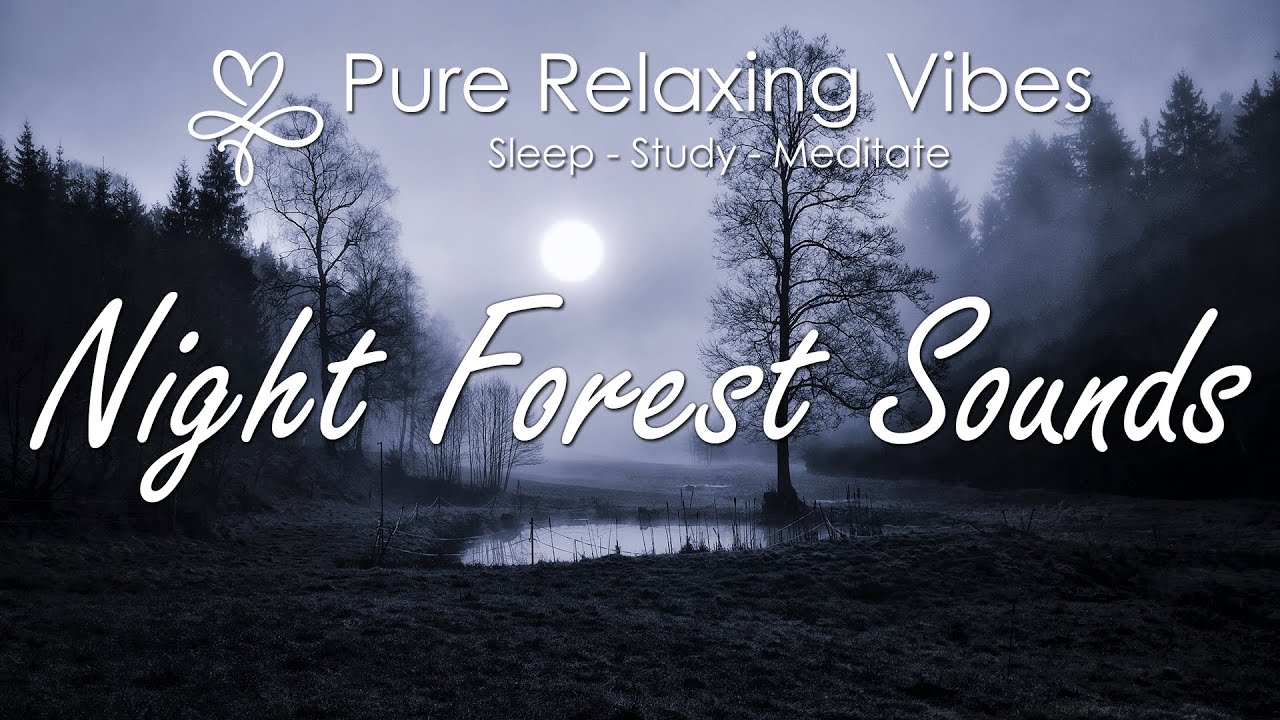 10-hour-relaxing-forest-night-sounds-for-sleep-study-meditation-and
