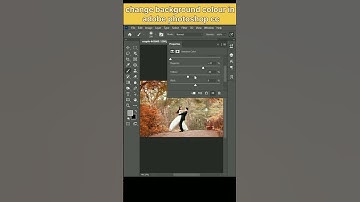 change background colour in Adobe Photoshop CC. #photoshop #short #shorts #editing
