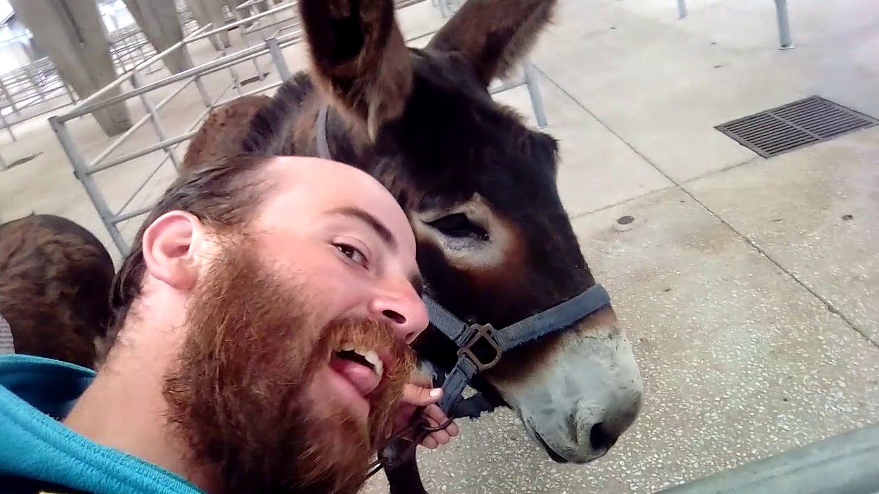 Camino de Santiago Mercado de Sarria en el Campo de la Feria