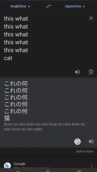 kore nami kore nani nekoo #shorts #meme