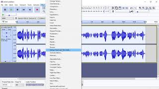 How to use Normalize in Audacity: The normalisation tool