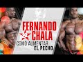 IFBB Pro Fernando Chala Técnicas Básicas Como Aumentar El Pecho