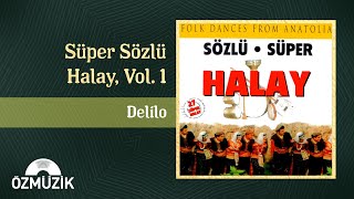 Delilo - Süper Sözlü Halay, Vol. 1 (Official Audio)