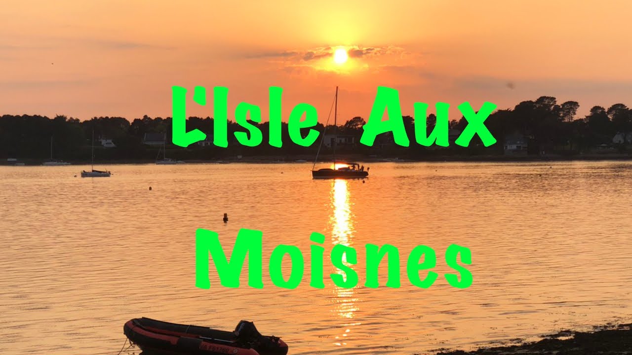 L'Île aux Moines vue du ciel