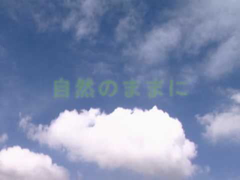 生茶パンダ先生！自然のままに･･･