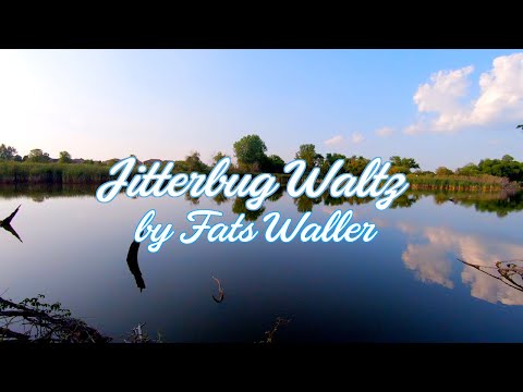 Jitterbug Waltz - E9 Pedal Steel - Doc Brown