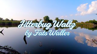Jitterbug Waltz - E9 Pedal Steel - Doc Brown