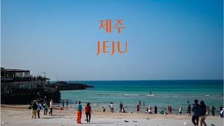 제주 여행 브이로그 vol 1. (함덕해수욕장, 만춘서점, 플레이스캠프 제주)