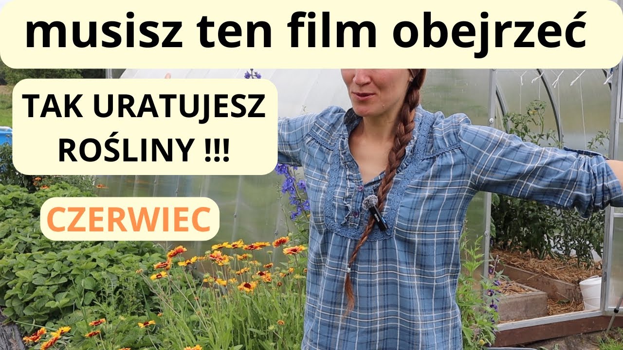 DUŻE NIEDOBORY NA POMIDORACH/CUKINI/PEPINO/Niebezpieczny niedobór magnezu..