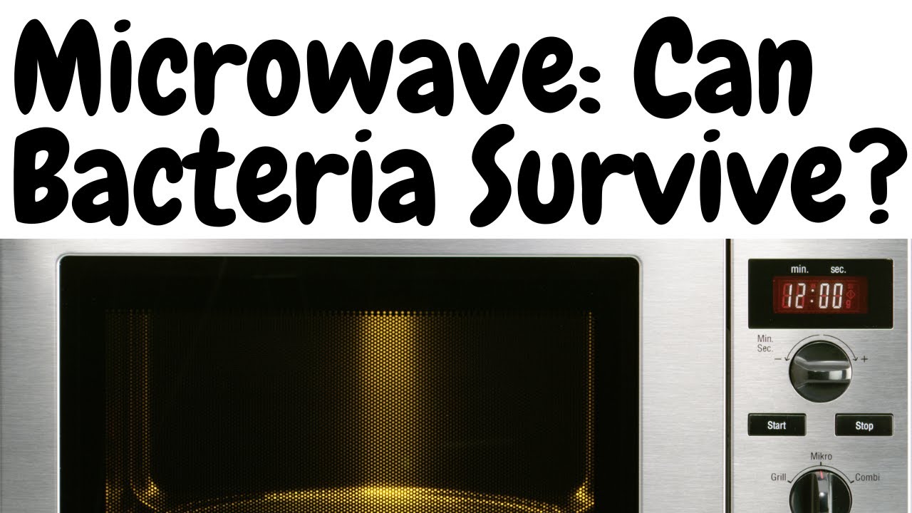 Can Bacteria Survive in a Microwave? - YouTube