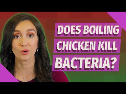 Does boiling chicken kill bacteria?