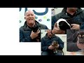 Tank, Ted and Dawson Lark | Mark's Furry Friends EXTRA | 2-22-2024