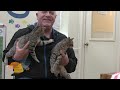 Tank, Ted and Dawson Lark | Mark's Furry Friends EXTRA | 2-22-2024