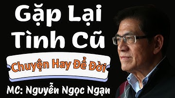 GẶP LẠI TÌNH CŨ - Vụng Trộm Với Người Xưa Và Cái Kết | Nguyễn Ngọc Ngạn