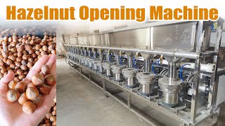 Hot-Selling Hazelnut Opening Machine Demo High-Efficiency Hazelnut Processing